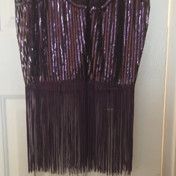 Purple Sequin Fringe Dress - Picture 5 of 5